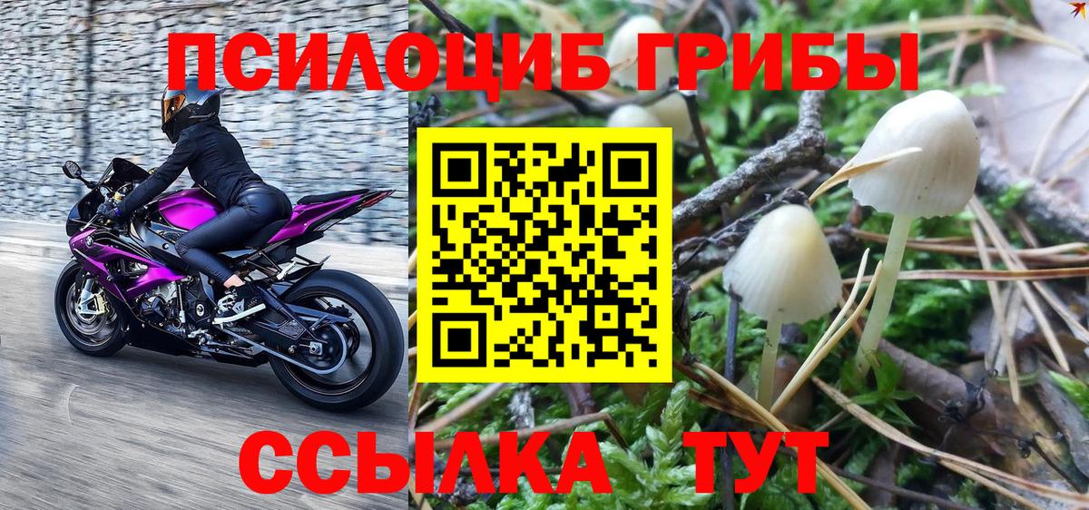 Малоярославец  Псилоцибиновые грибы мухоморы  Галлюциногенные грибы мицелий  Вход с VPN 